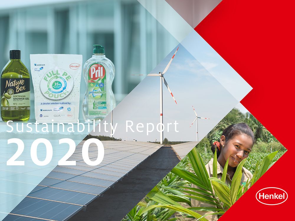 Informes de sostenibilidad 2020 (Capa)