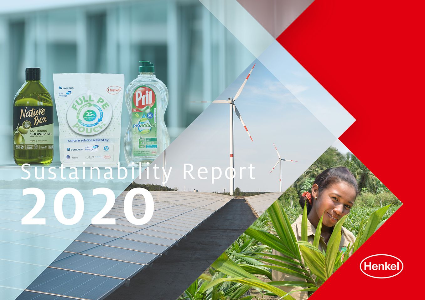 Informes de sostenibilidad 2020 (Capa)