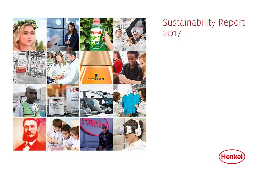 Informes de sostenibilidad 2017 (Capa)