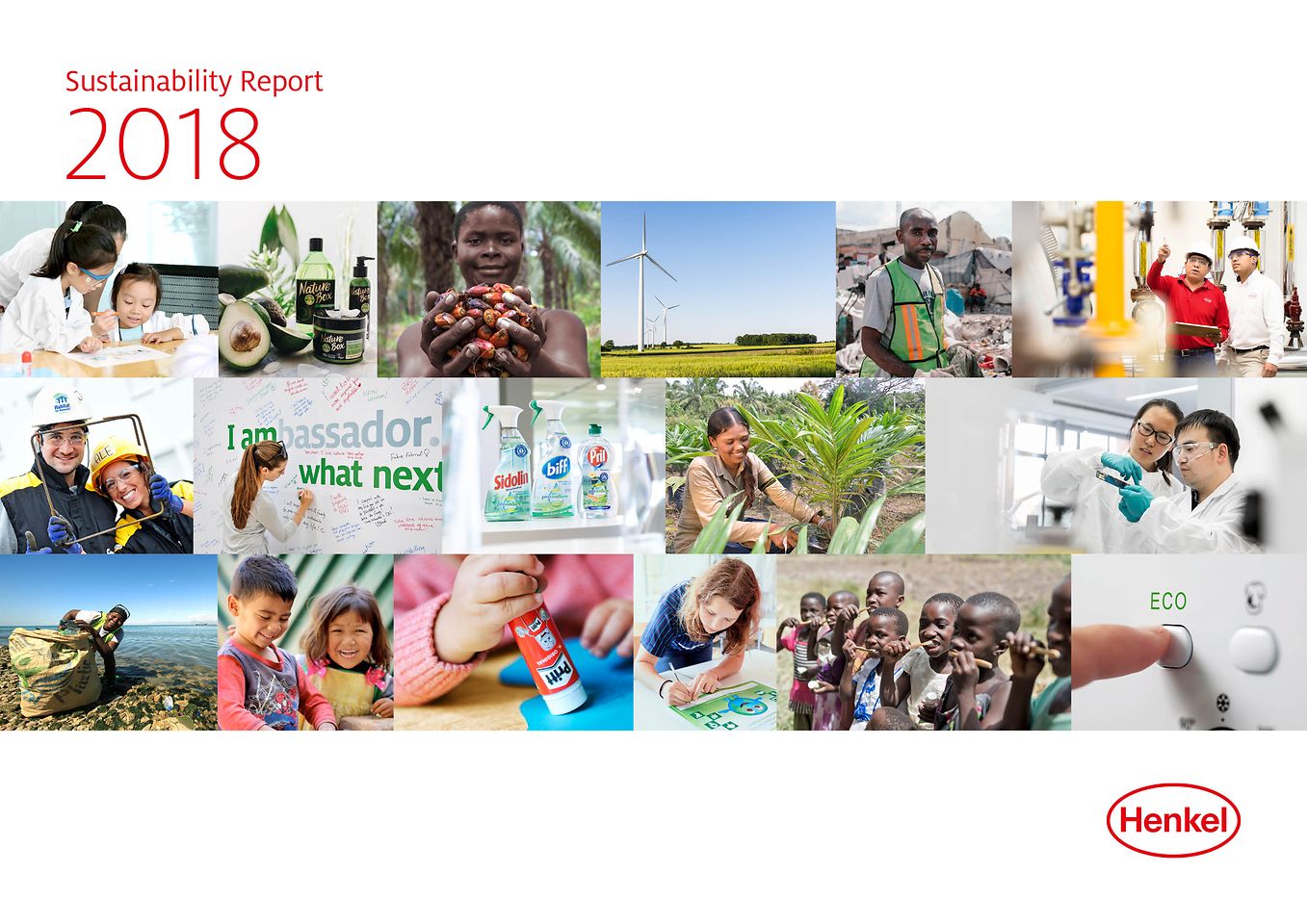 Informes de sostenibilidad 2018 (Capa)